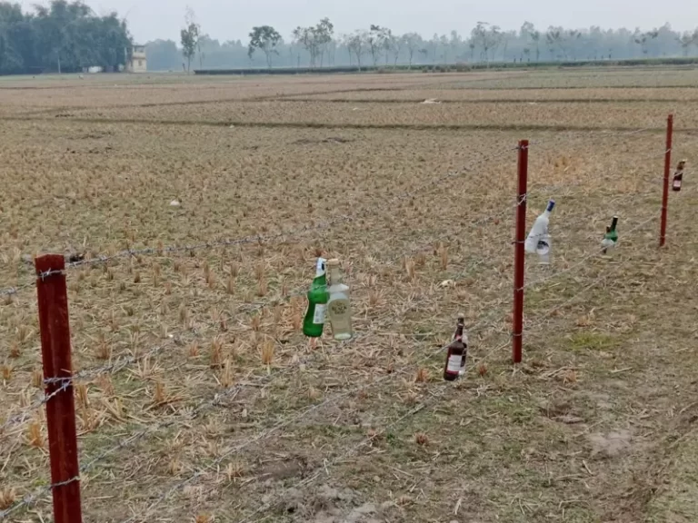 সীমান্তে কাঁটাতারের বেড়ায় কাচের বোতল কেন ঝুলিয়েছে বিএসএফ?