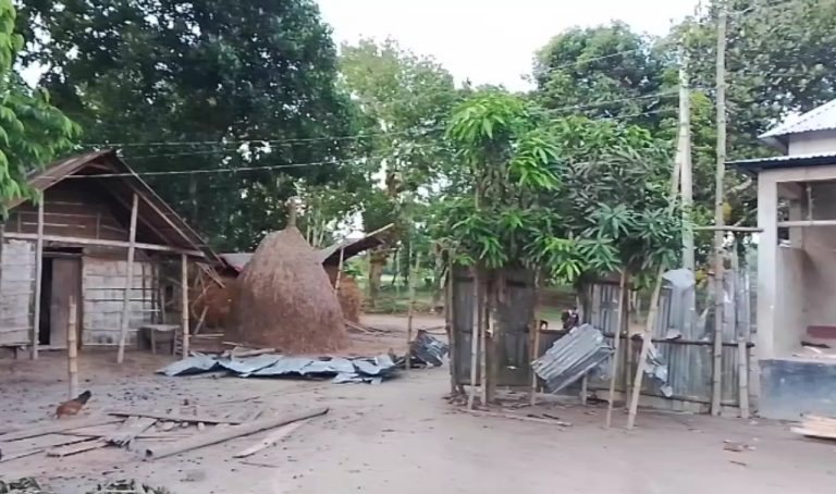 গৌরীপুরে জমি নিয়ে বিরোধে দু’পক্ষের সংঘর্ষে আহত ৭, মামলা দায়ের