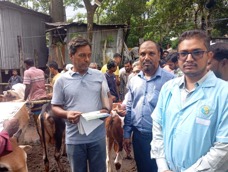 নলছিটি পশুর হাটে তৎপর ভেটেরিনারি মেডিকেল টিম