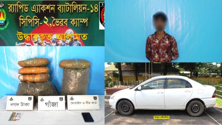 বারো কেজি গাঁজাসহ এক মাদক কারবারি র্যাবের হাতে আটক