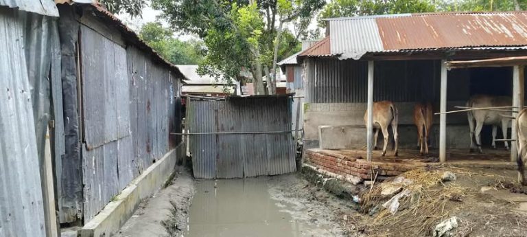 বকশীগঞ্জে রাস্তায় ঘর নির্মাণ করায় চরম ভোগান্তিতে এলাকাবাসী।