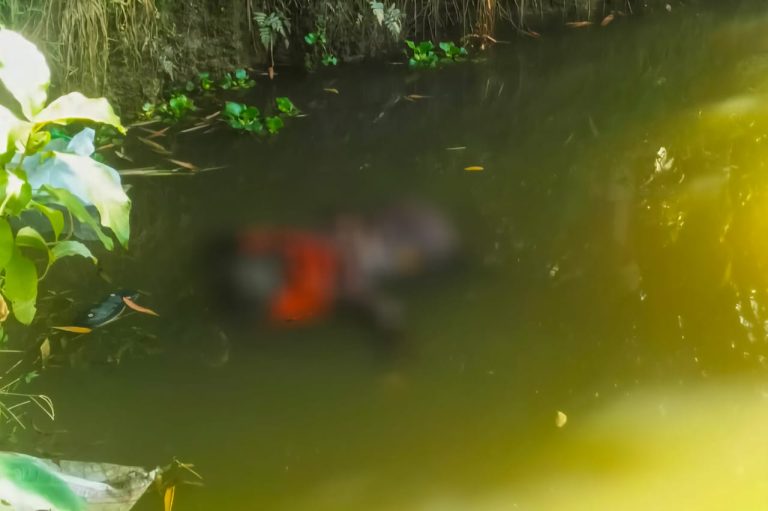 কেন্দুয়ার বীরমুহুরী গ্রামে বৃদ্ধার মরদেহ উদ্ধার