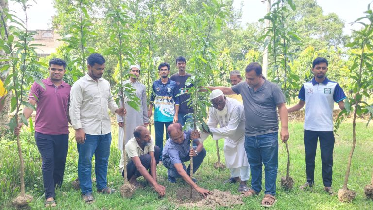 ইবির সাদ্দাম হোসেন হলের বৃক্ষরোপণ কর্মসূচি