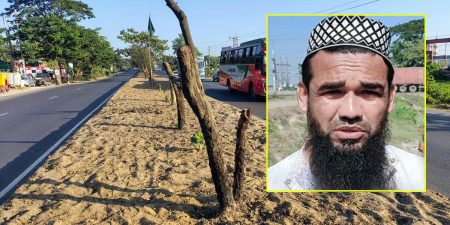 কুমিল্লায় মাহাসড়কের অর্ধশত বকুলগাছ কাটা সেই ব্যক্তি গ্রেপ্তার