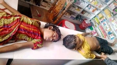 কেন্দুয়ায় চাচার মৃত্যুর পর পরদিনই একই পরিবারে আরো ২ শিশুর মৃত্যু
