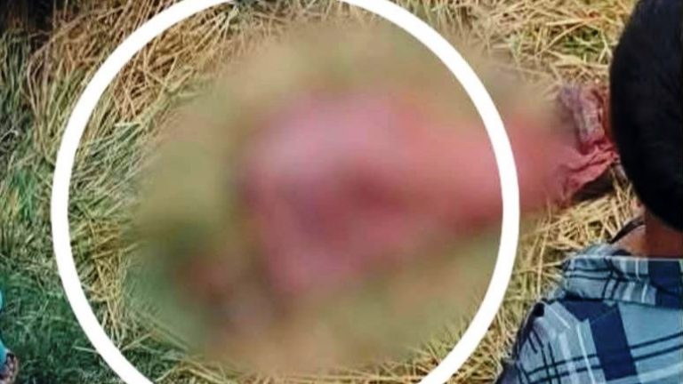 কেন্দুয়ায় ধান কাটার মেশিনে পিষ্ট হয়ে শিশুর মৃত্যু