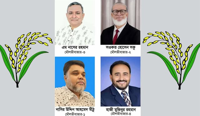ধানের শীষের কান্ডারি যারা হলেন মৌলভীবাজার চারটি আসনে
