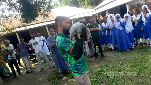 অতি বিপন্ন বনরুই ঘিরে আশার আলো