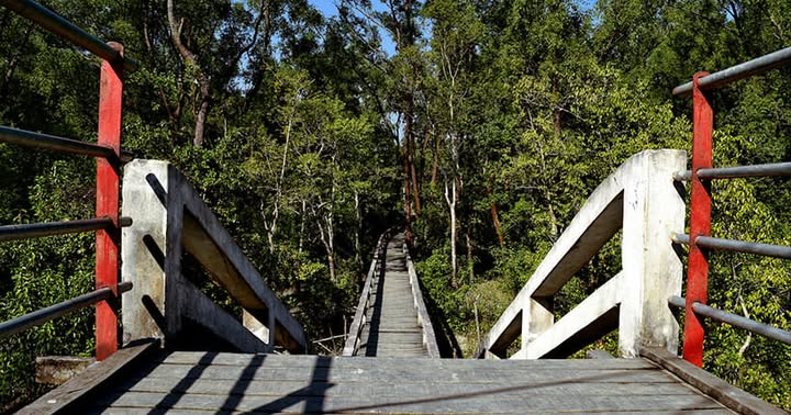 জীর্ণ দশায় হরিণঘাটা, মুখ ফেরাচ্ছেন দর্শনার্থীরা