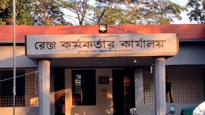 বনের গাছ প্রভাবশালীর বাড়িতে: অভিযানে জব্দ