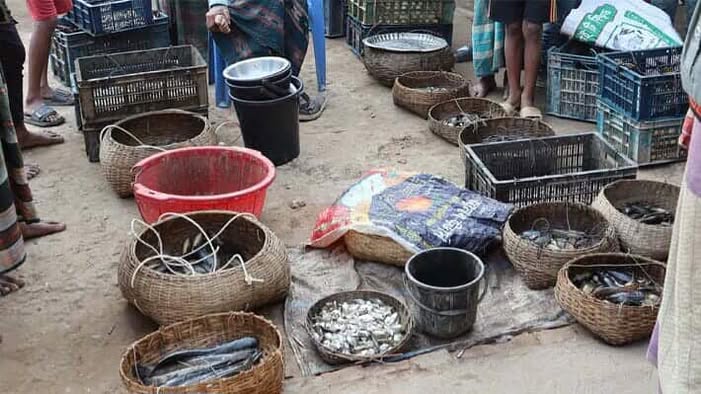 হাওর ও নদীর মাছ বাজারে আনতেই উধাও