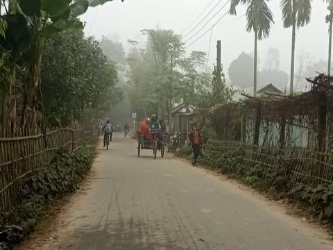পৌষের শুরুতেই গাইবান্ধায় জেঁকে বসেছে কনকনে শীত, কুয়াশায় স্থবির জনজীবন