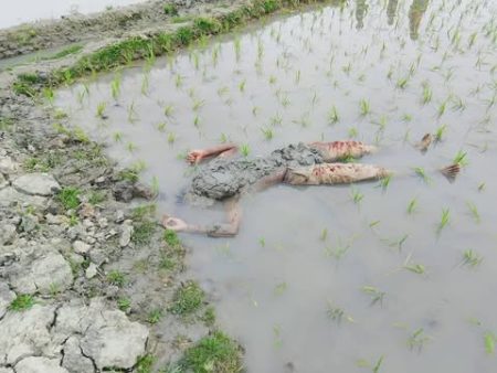 নেত্রকোনায় ফসলি জমিতে পুঁতে রাখা অজ্ঞাতনামা লাশ উদ্ধার