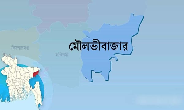 মৌলভীবাজারে চারটি আসনে ৩১ জনের মনোনয়নপত্র দাখিল