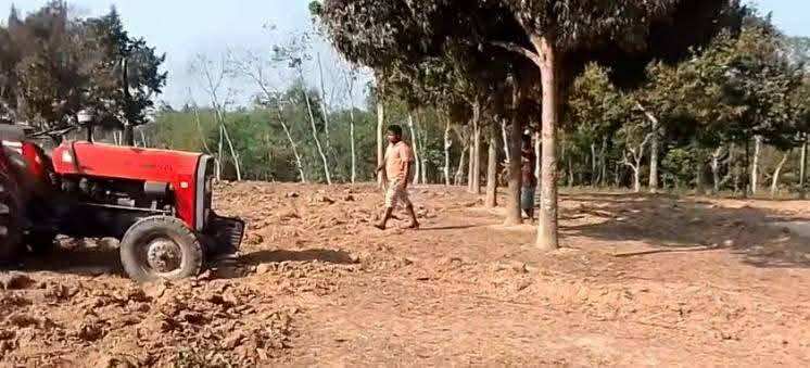 ঐতিহ্যবাহী পর্যটন কেন্দ্র গলফ মাঠ খুঁড়ে চা চাষের উদ্যোগে নিন্দা