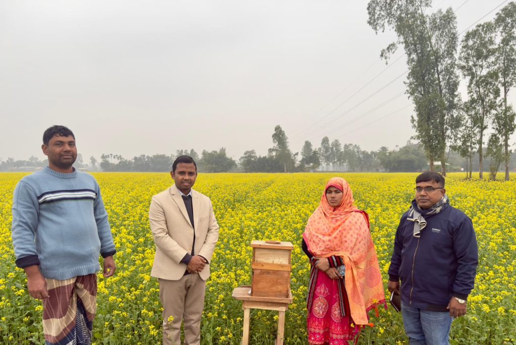 ডিমলার গ্রামবাংলা জুড়ে হলুদ স্বপ্ন, সরিষাখেতে থামছে পথচারী