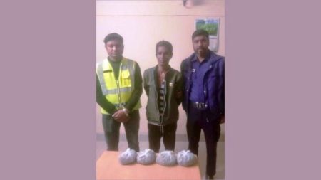 খানাডুলির ভেতর গাঁজা! নেত্রকোনায় পুলিশের জালে মাদক কারবারি