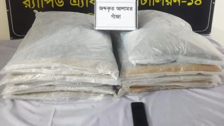 রান্নাঘরের সিমেন্টের বস্তায় মিলল ২০ কেজি গাঁজা, কারবারি আটক