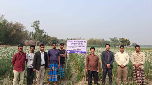 পীরগঞ্জে পেঁয়াজের কন্দ চাষে স্বপ্নের ঝিলিক: আমদানিনির্ভরতা কাটিয়ে স্বাবলম্বী হওয়ার পথে কৃষকরা