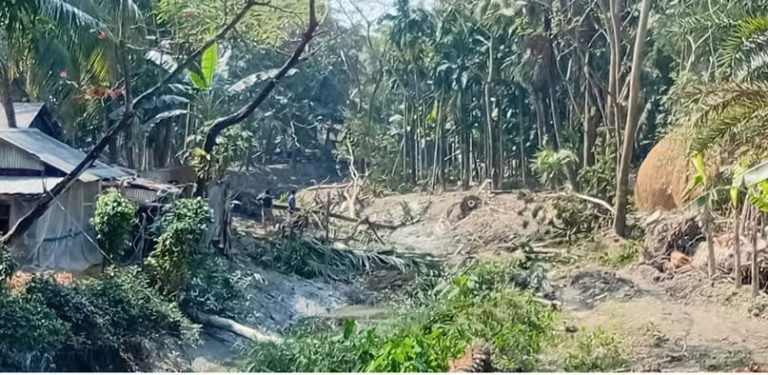 তালতলীতে জলবায়ু সহনশীল খাল খনন প্রকল্পে অনিয়মের অভিযোগ খনন শেষ না হতেই বাঁধ কেটে পানি প্রবেশ।