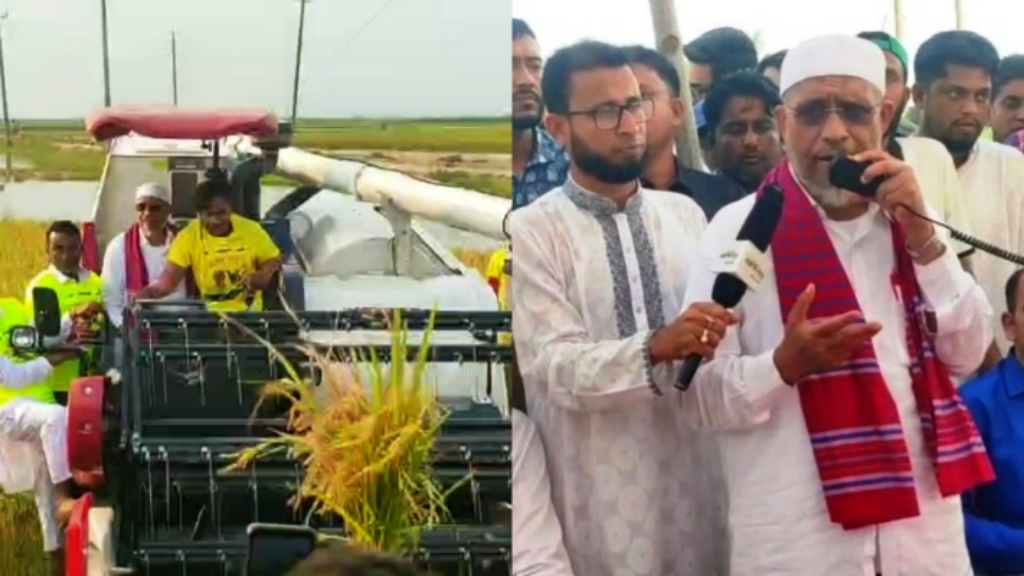 কৃষকের ধান নিরাপদে ঘরে তুলতে নেতাকর্মীদের নির্দেশ লুৎফুজ্জামান বাবরের