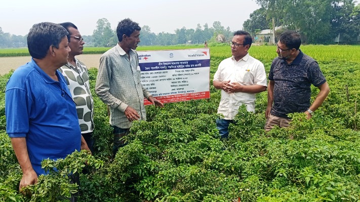 সাধারণ পদ্ধতিতে লোকসান, জৈব মালচিংয়ে লাখপতি ইসলামপুরের দেলোয়ার