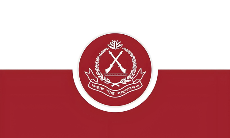 বিজিবির অভিযানে বিপুল পরিমাণ চোরাচালান পণ্য জব্দ