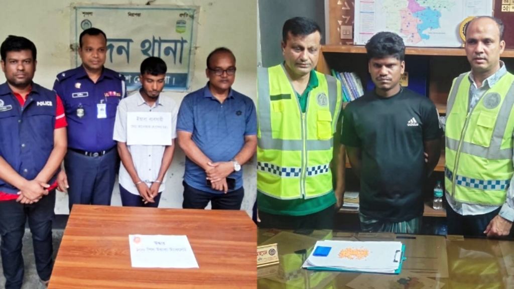 নেত্রকোনার মদন ও দুর্গাপুরে ইয়াবাসহ ২ কারবারি