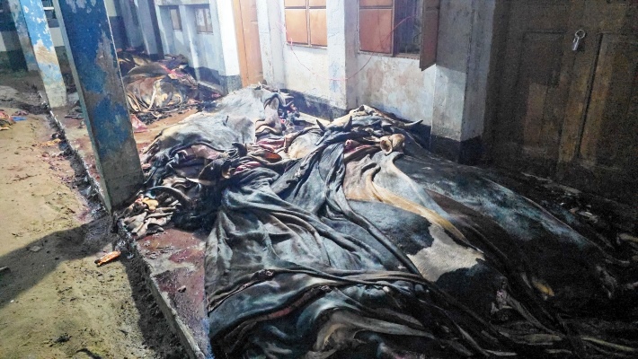 ‘৩৩ বছরে চামড়া দরের এমন সংকট আর দেখিনি’: বিলাপ মাদ্রাসা কর্তৃপক্ষের
