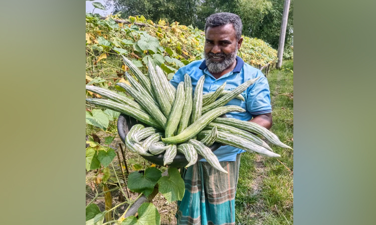 ভার্মি কম্পোস্ট ব্যবহারে কমছে উৎপাদন খরচ, বাড়ছে লাভ