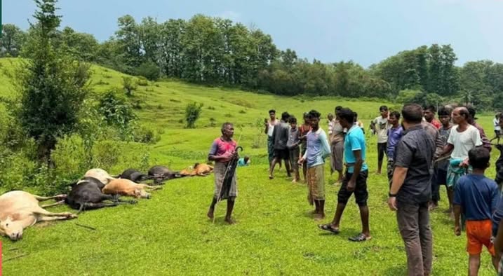 বজ্রপাতে প্রান গেল ১৪টি প্রানীর