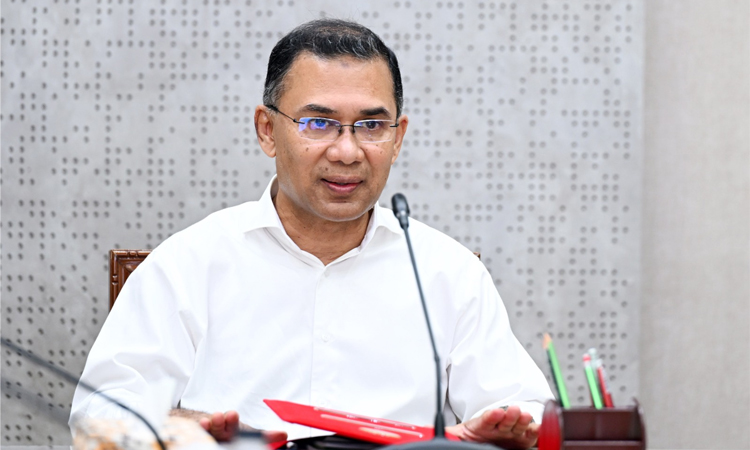 মশক নিধন শিখতে ফ্লোরিডা নয়, ডোবার পাশে দাঁড়ানোর পরামর্শ প্রধানমন্ত্রীর