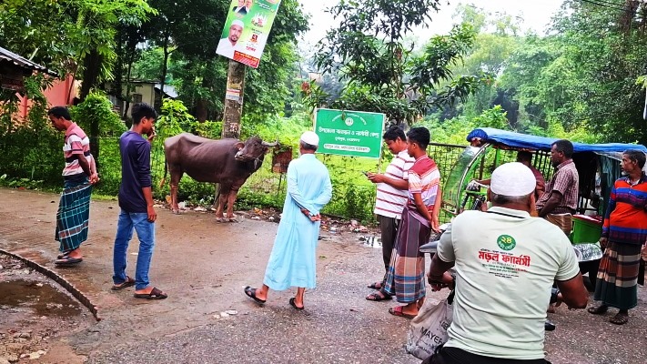 বড় পর্দায় খেলা ও মহিষের ভোজ: নেত্রকোনায় ব্যতিক্রমী উৎসব