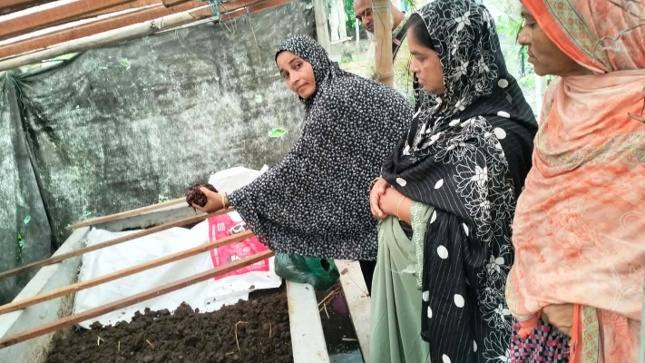 ‘নিরাপদ খাদ্য উৎপাদন ও মাটির স্বাস্থ্য রক্ষায়’ নেত্রকোনায় কম্পোস্ট তৈরি কর্মশালা