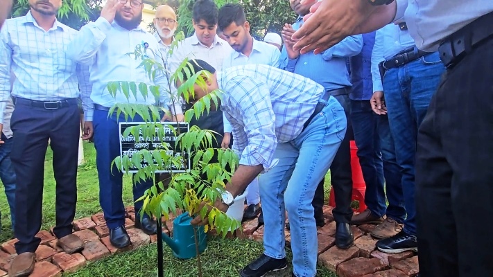 নেত্রকোনায় নিম গাছের চারা রোপন : বনায়ন ও নাগরিক সেবায় জোর ডেপুটি স্পিকারের