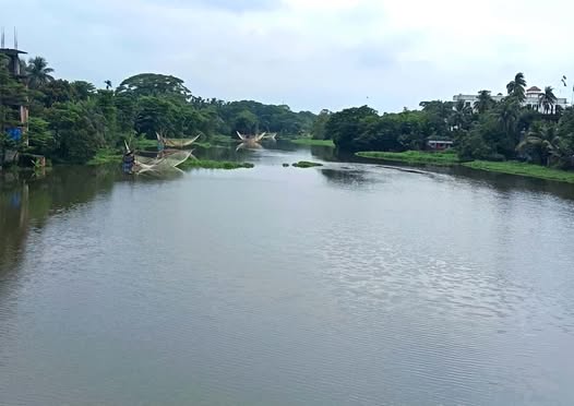 কচুরিপানামুক্ত কাঁচামাটিয়া নদী, স্বস্তি ফিরেছে জনজীবনে
