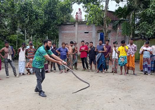 ঈশ্বরগঞ্জে দাঁড়াশ ভেবে ধরা হয়েছিল দক্ষিণ এশিয়ার অন্যতম বিষধর সাপ