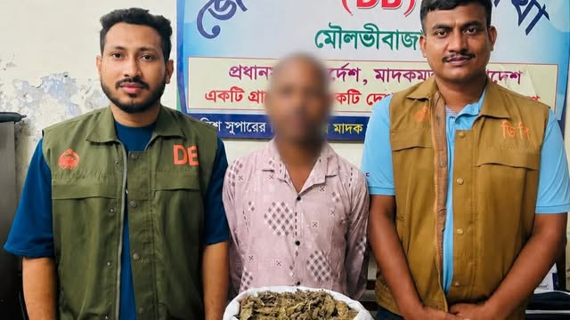 তিন কেজি গাঁজাসহ কারবারি ডিবির জালে