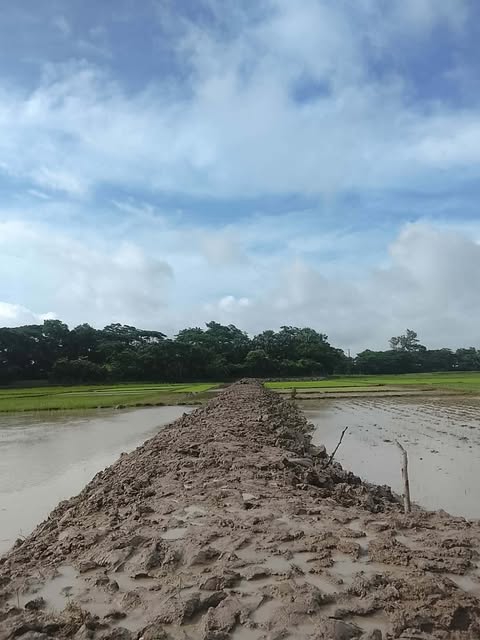 মৌরভী–মোয়াপাড়া সংযোগ সড়ক পুনর্নির্মাণ সম্পন্ন