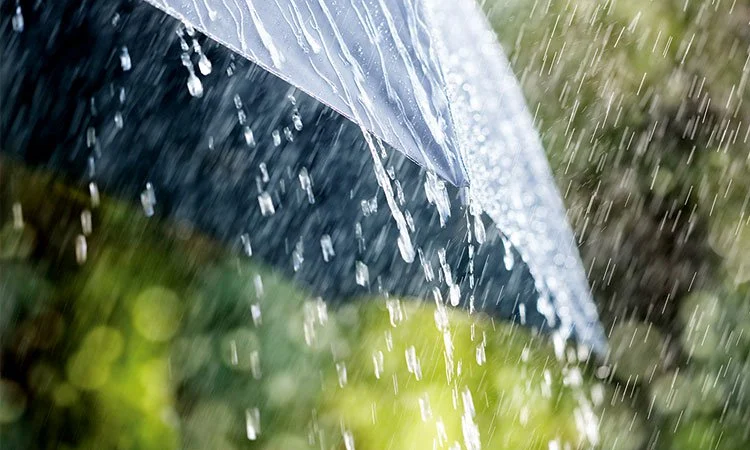 রংপুর বিভাগে ভারী বৃষ্টিপাতের সতর্কবার্তা : আবহাওয়া অধিদপ্তর