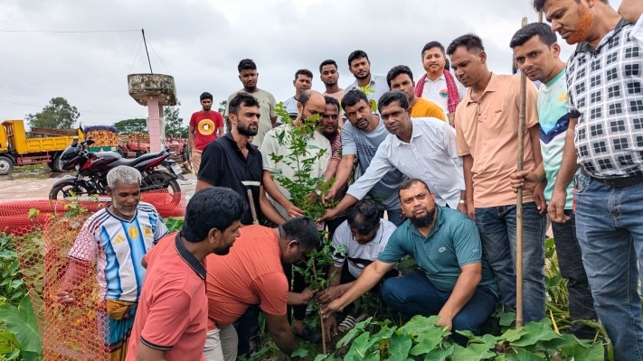 জলবায়ু পরিবর্তন মোকাবিলায় কলমাকান্দায় বৃক্ষরোপণ