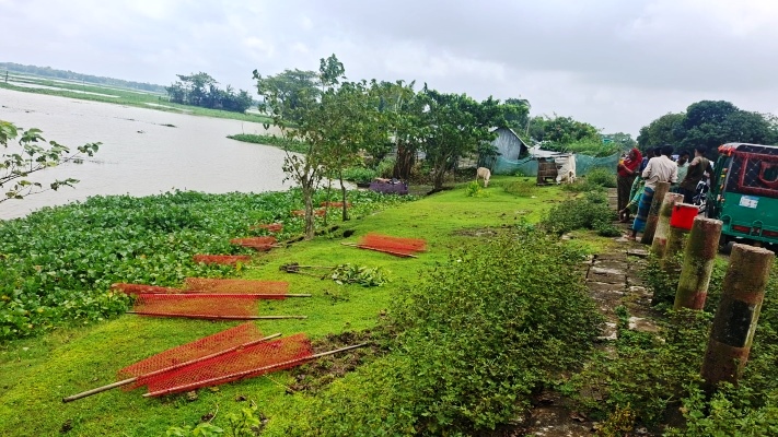 কলমাকান্দায় চারা গাছ উপড়ে ফেলার মামলায় গ্রেপ্তার ৩, আসামির তালিকায় ৩৩