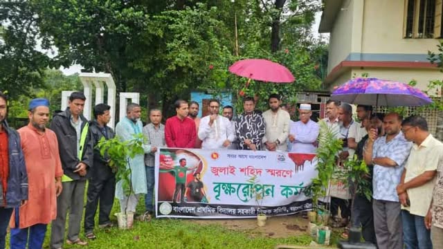 বড়লেখায় জুলাই শহীদদের স্মরণে মাসব্যাপী বৃক্ষরোপন কর্মসূচি