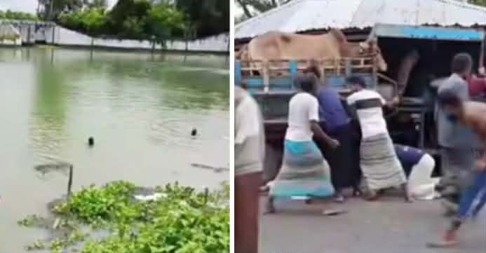 ডিমলায় পৃথক ঘটনায় দুই শিশুসহ নিহত ৩, এলাকায় শোকের ছায়া