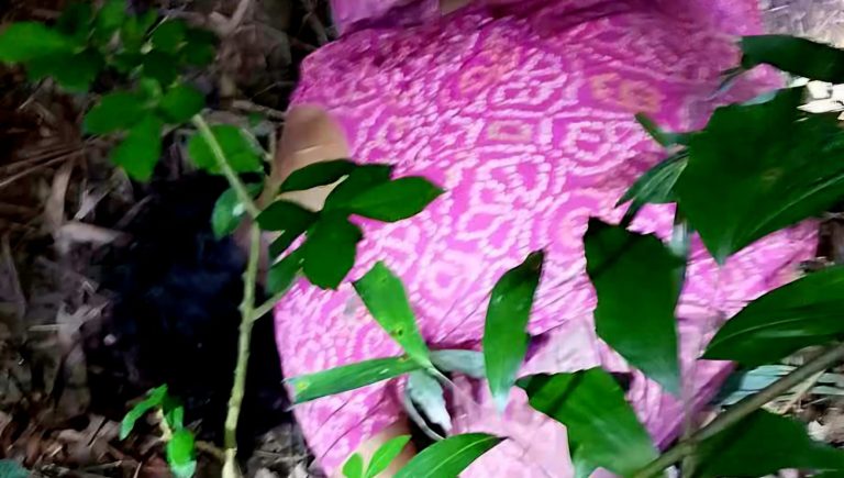 পূর্বধলায় ধস্তাধস্তির পর বাঁশঝাড়ে মিলল গৃহবধূর নিথর দেহ, অভিযুক্ত পলাতক
