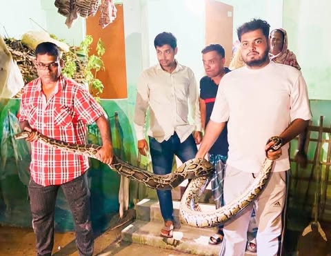 খাদ্য সংকট ও বন্য প্রাণীর আবাসস্থল ধ্বংস লোকালয়ে প্রানী