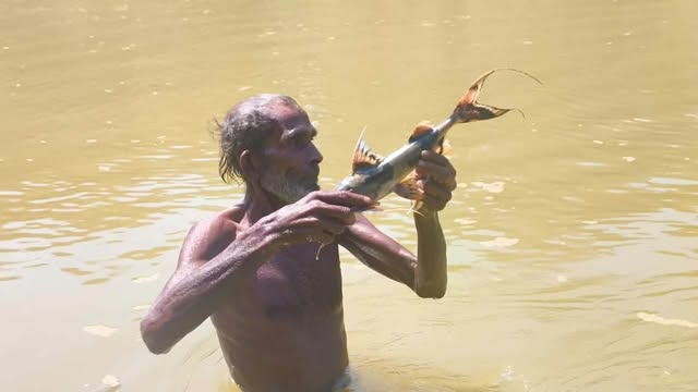 কমলগঞ্জে ধলাই নদীতে বিষ দিয়ে মাছ নিধন
