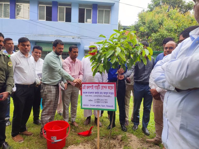 ডিমলায় এমপি আব্দুস সাত্তারের বৃক্ষরোপণ