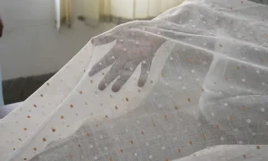বিশ্ববাজারে ডানা মেলতে প্রস্তুত ঢাকাই মসলিন